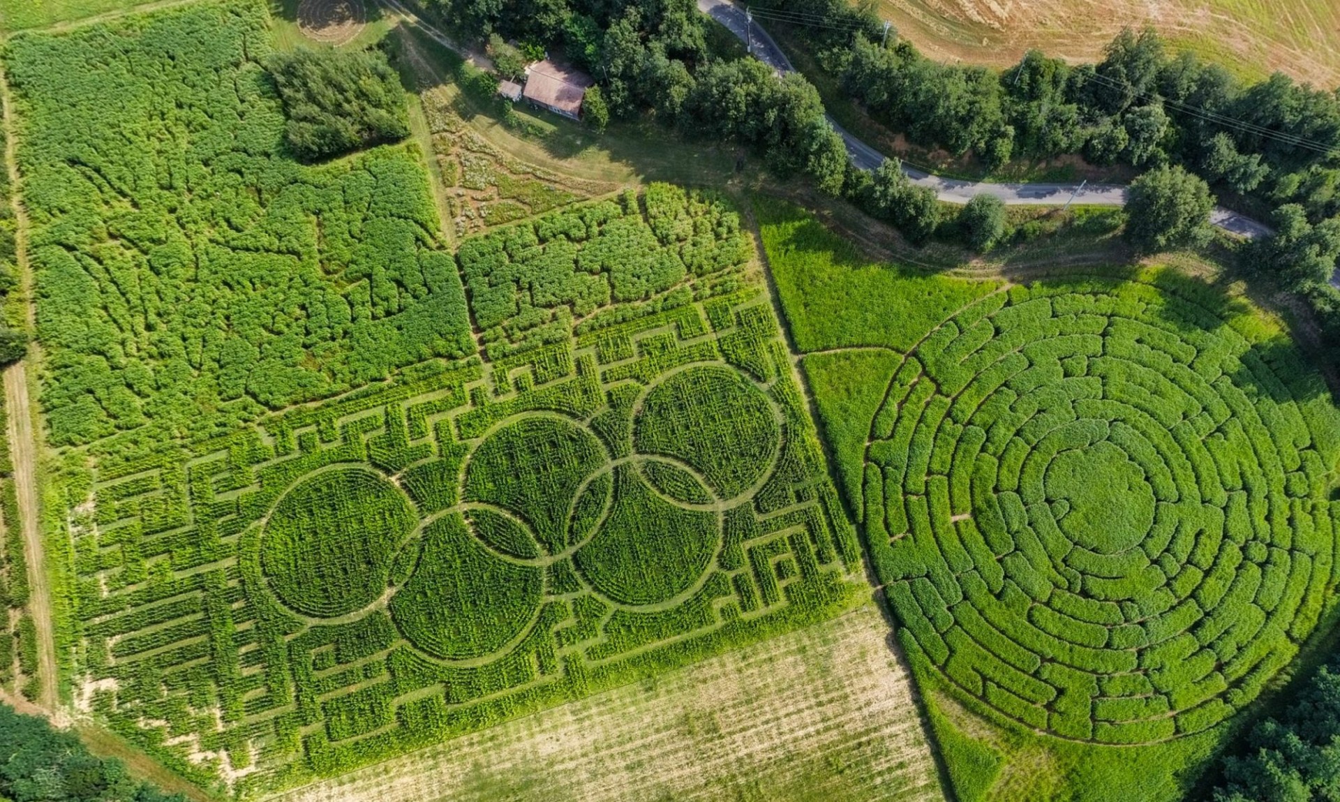 Labyrinthe Végétal