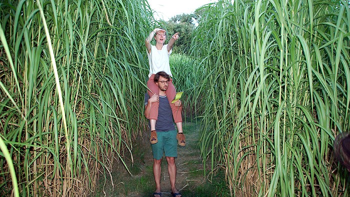 Miscanthus-cheval700x294