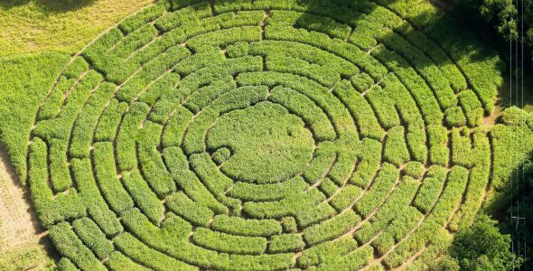 labyrinthe leorat-40 copie